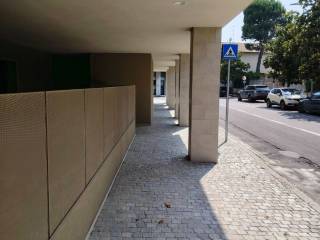 Zona