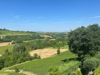 Vista