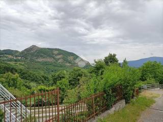 Vista