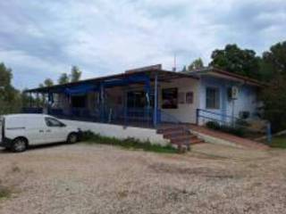 Zona
