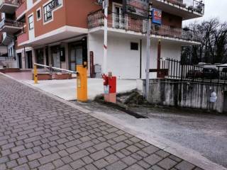 Zona