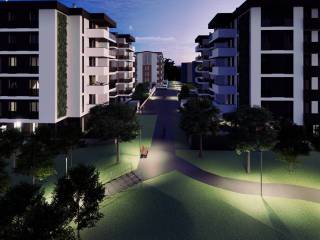 Vista