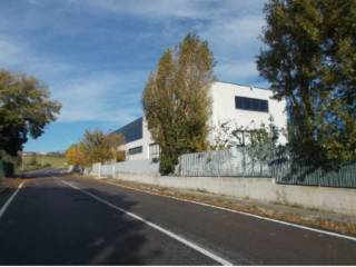 Zona