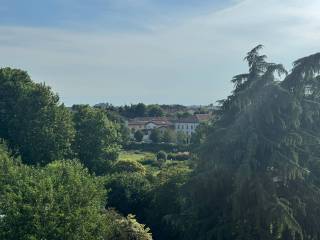 Vista
