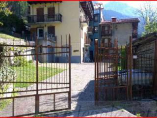 Zona