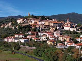 Vista