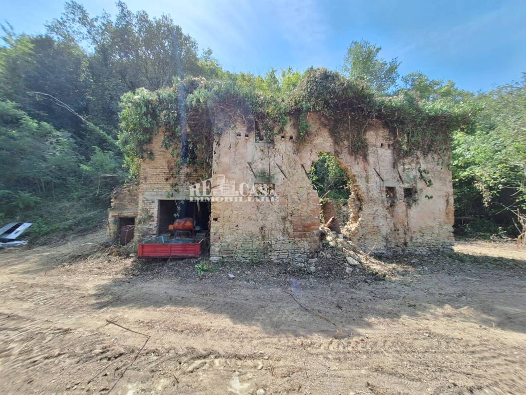 Terreno