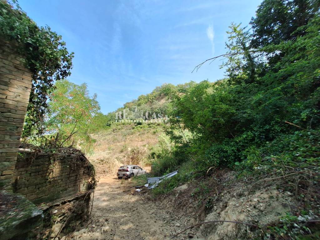 Terreno