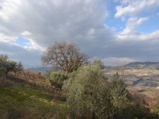 Vista