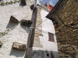 Zona