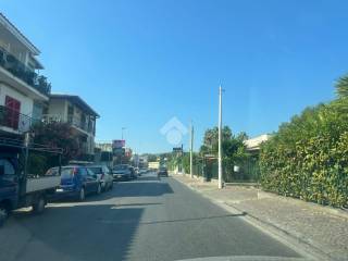 Zona