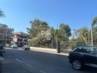 Zona