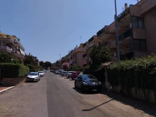 Zona