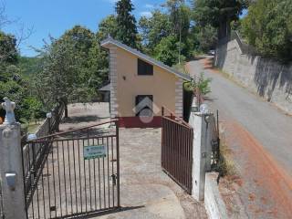 Zona