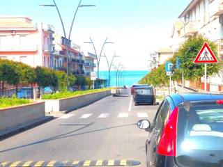 Zona