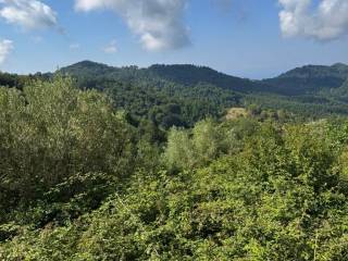 Vista