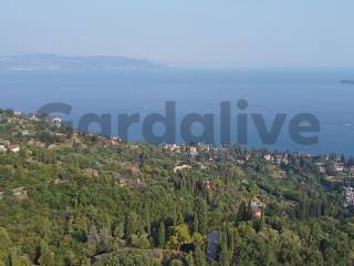 Vista