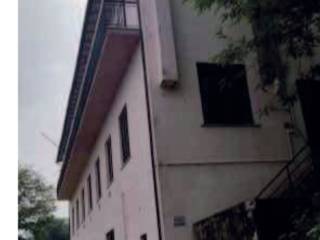 Zona