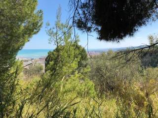 Vista