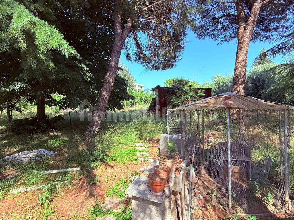 Terreno