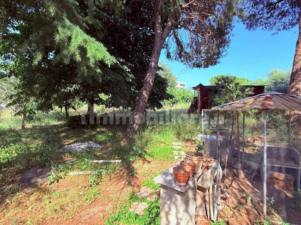 Terreno
