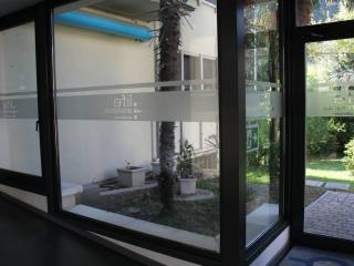 Vista