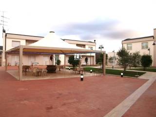Zona
