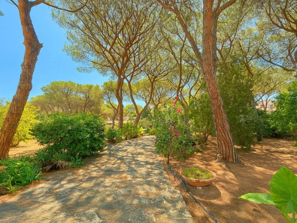 Giardino