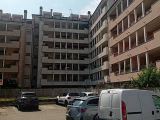 Zona