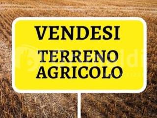 Altro