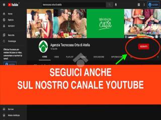 Altro
