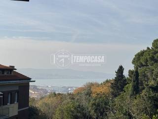 Vista