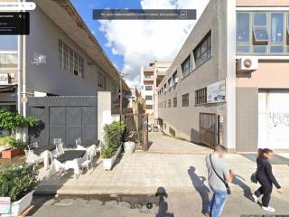 Zona