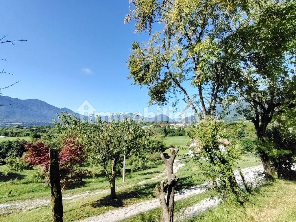 Vista