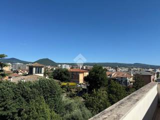 Vista