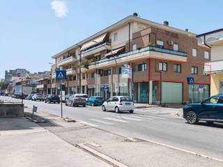 Zona