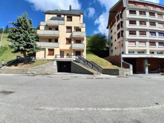 Zona