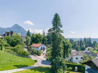 Vista
