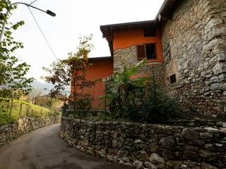 Zona