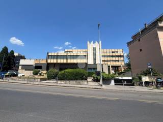 Zona