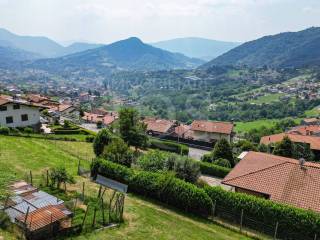 Vista