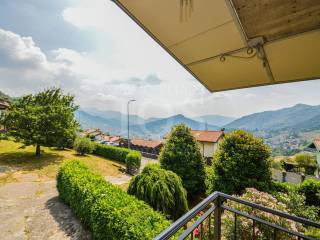Vista
