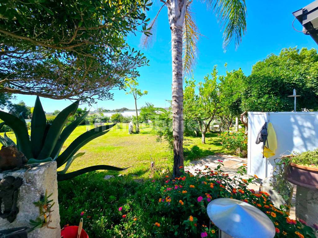 Giardino