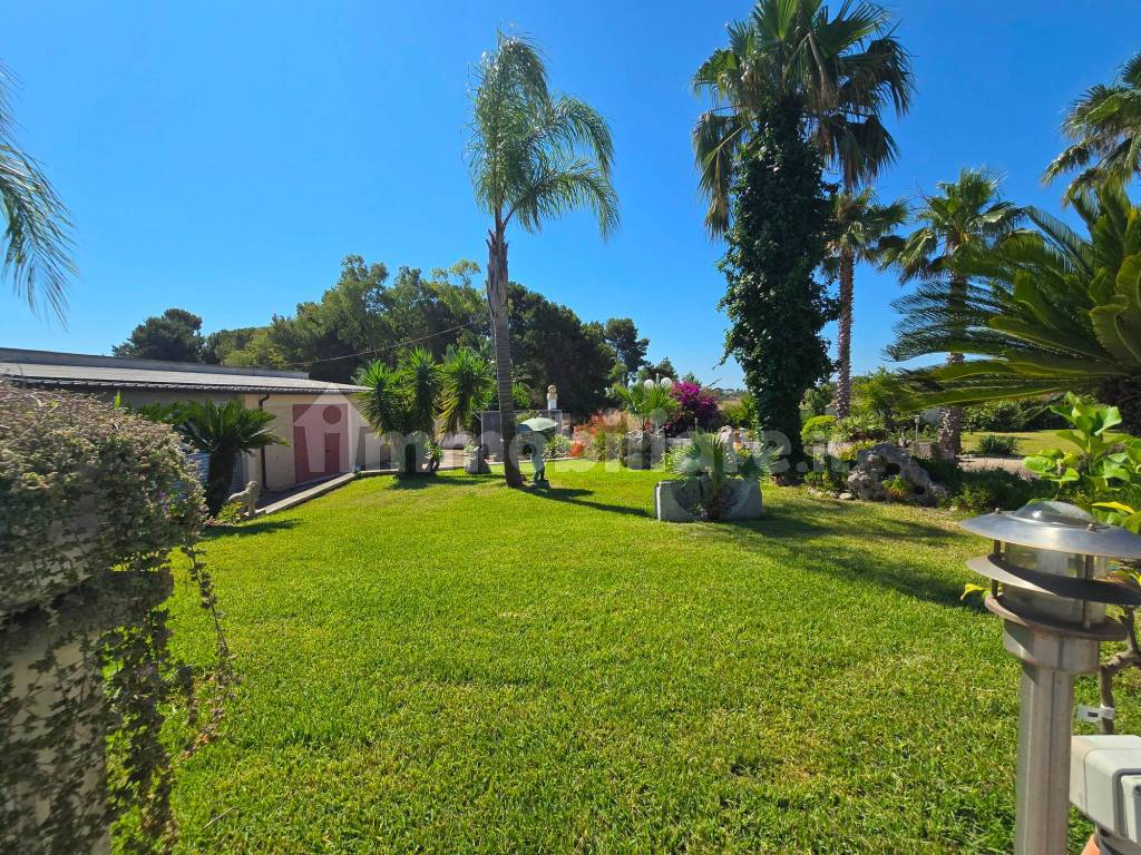 Giardino