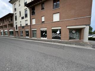 Zona