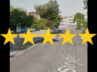 Zona