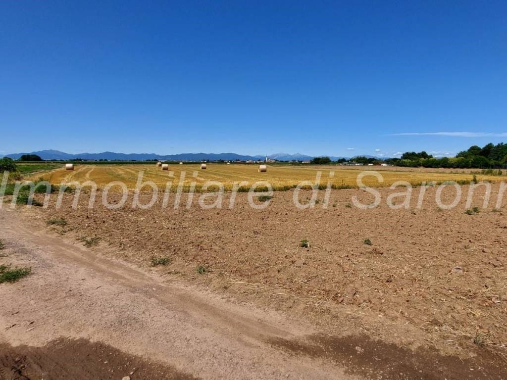 Terreno