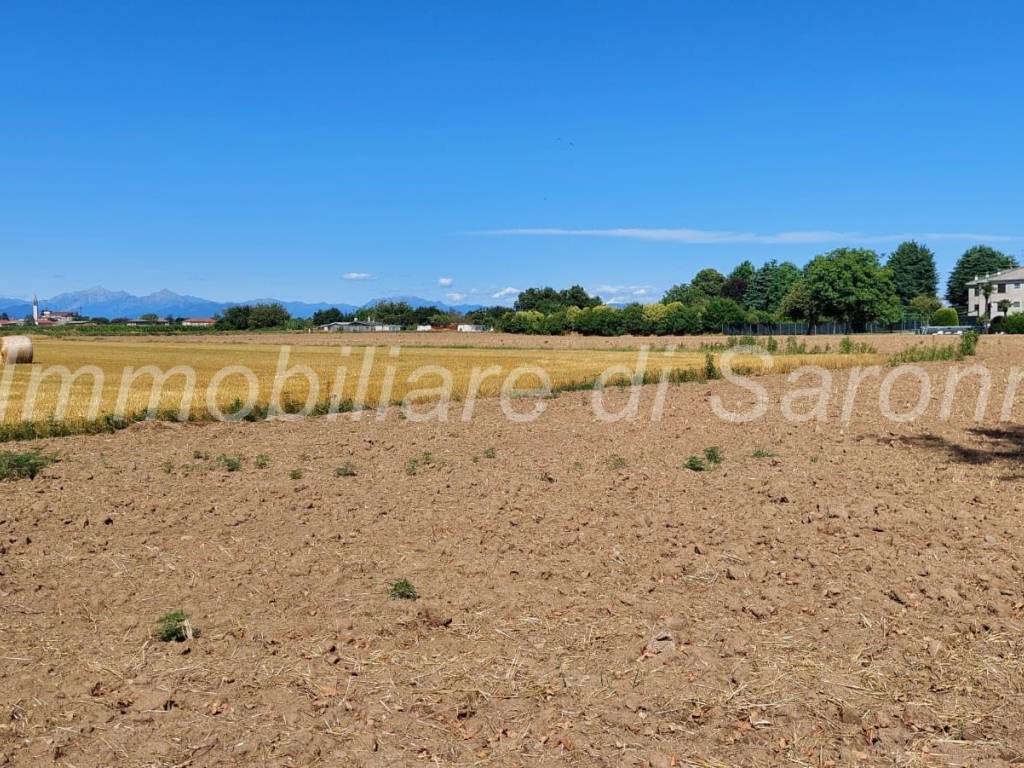 Terreno