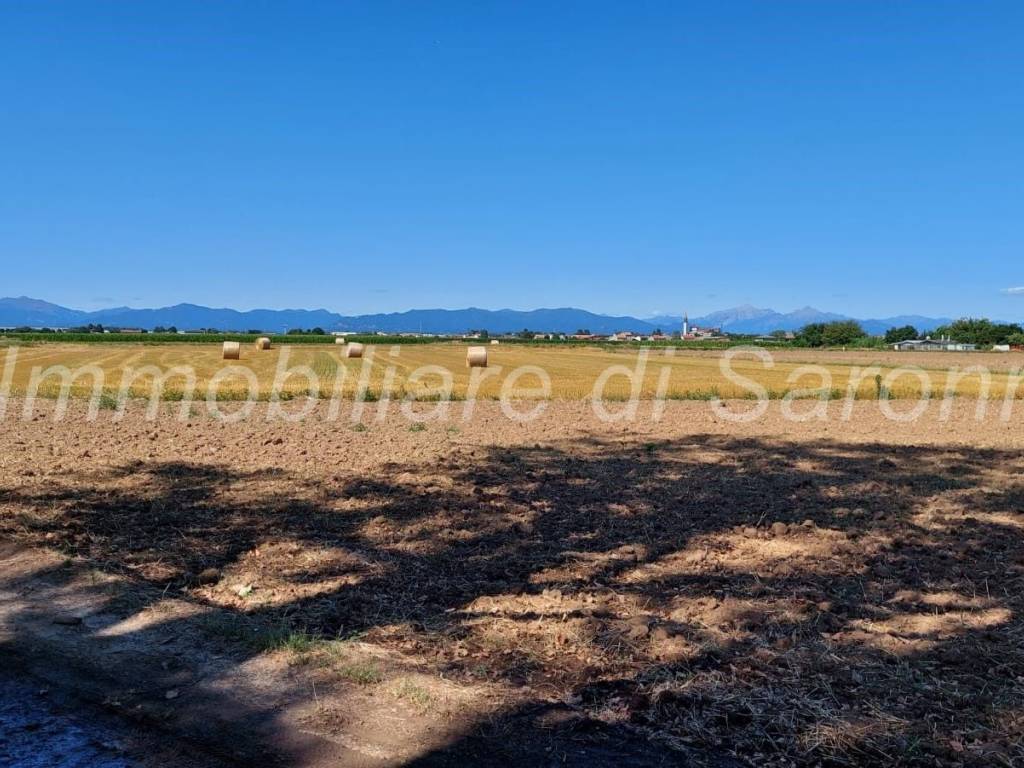 Terreno
