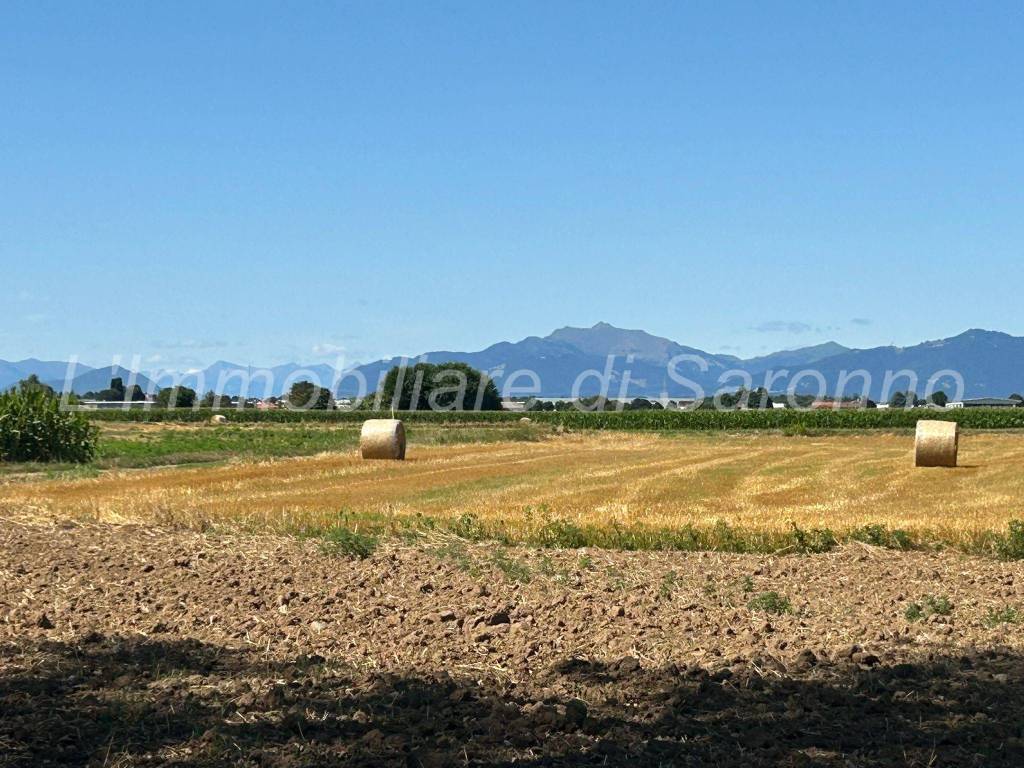 Terreno